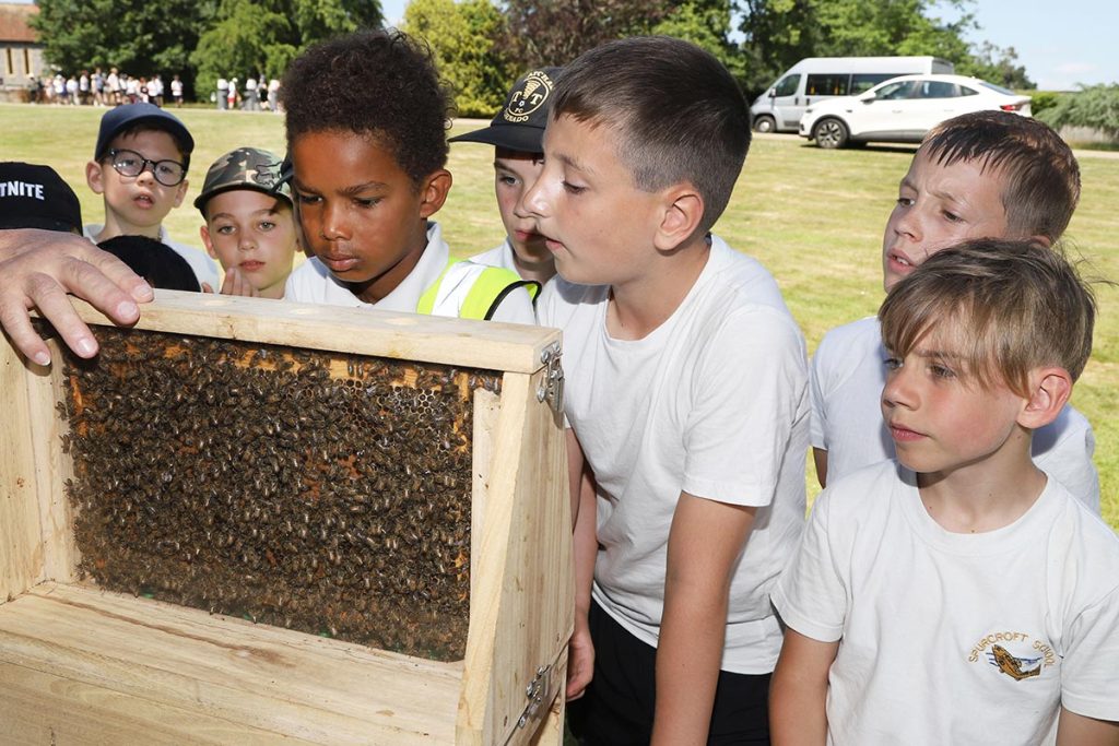Children learning about bees at Englefield house Schools Day 2025