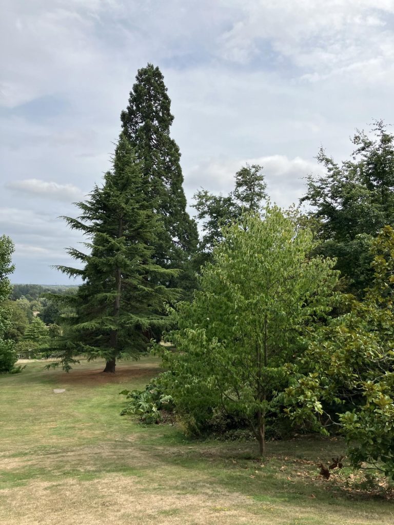Englefield Estate Gardens to explore
