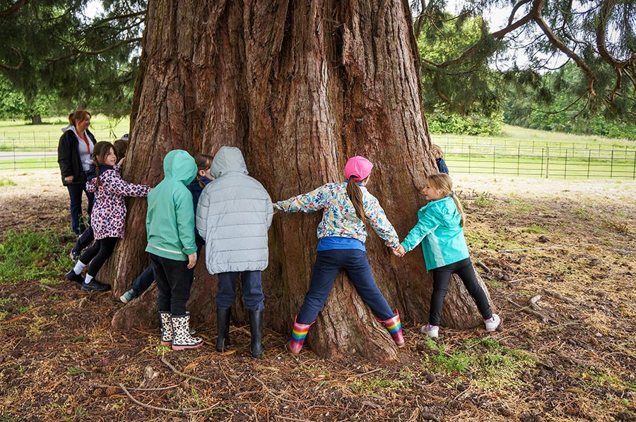 Children learning about trees education games at Englefield Schools Day 2026