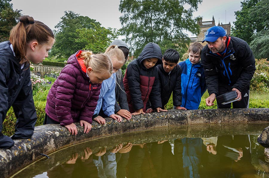 Children looking into pond at Englefield Estate
