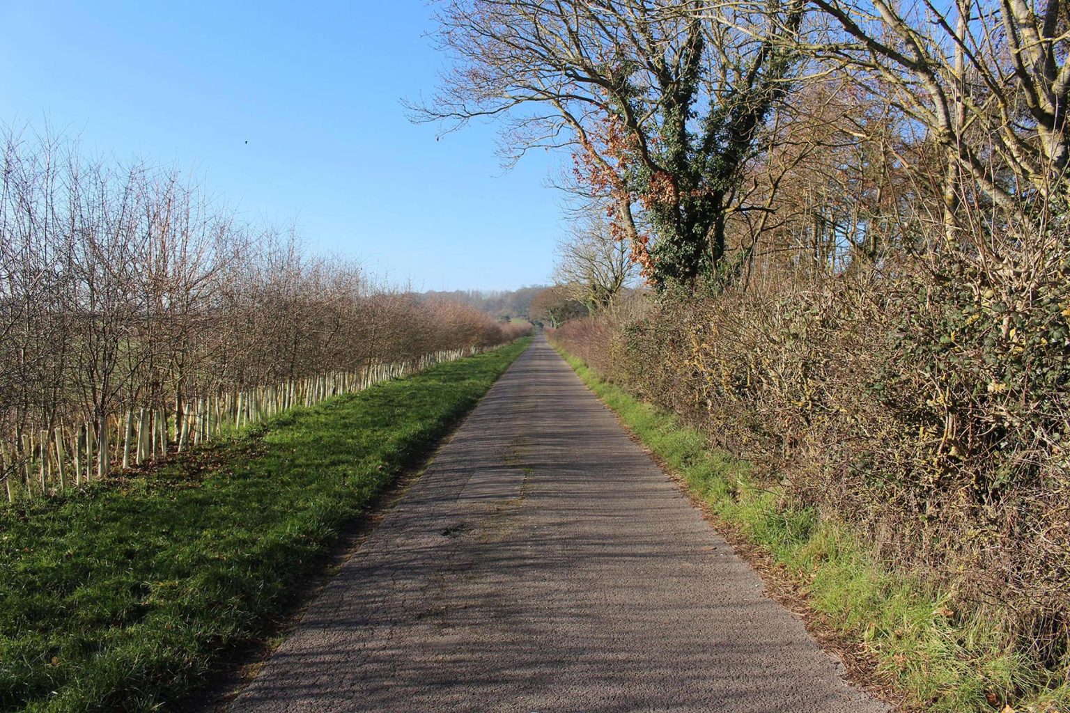Englefield Estate lanes filming location