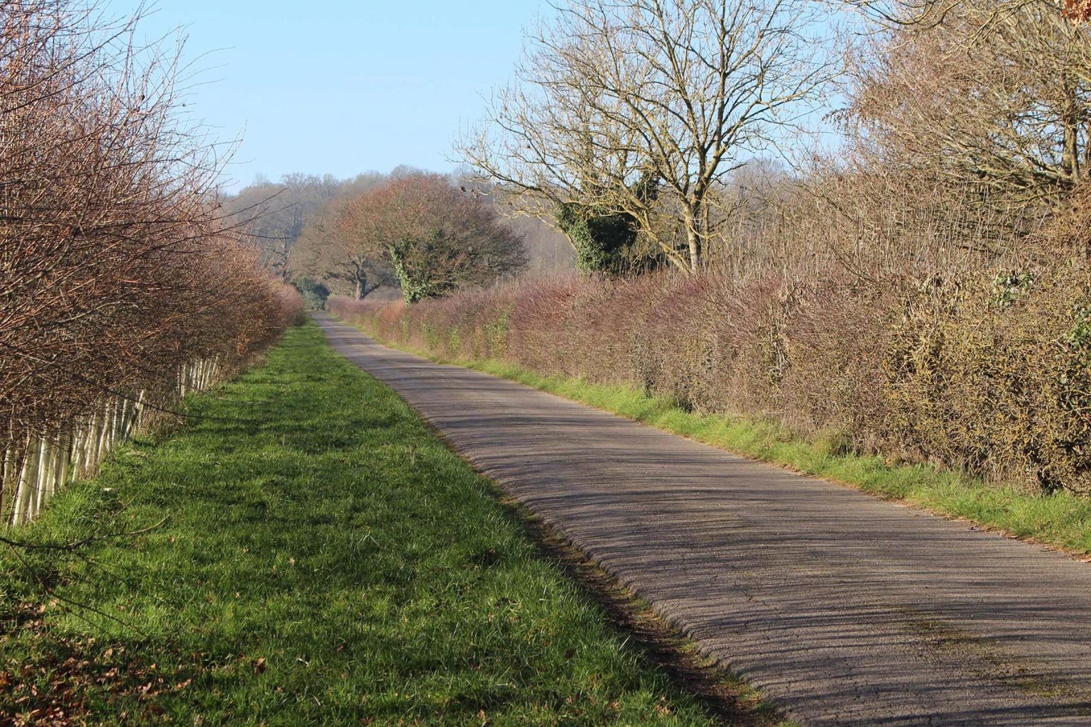 Englefield Estate country lanes filming location