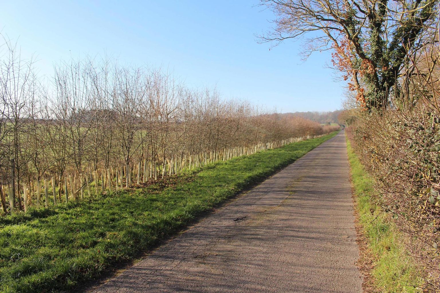 Englefield Estate lanes filming location
