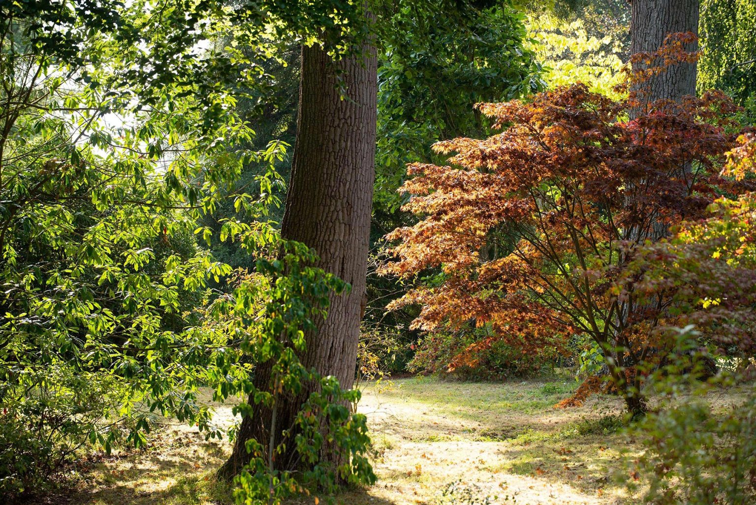 Englefield Estate gardens filming location