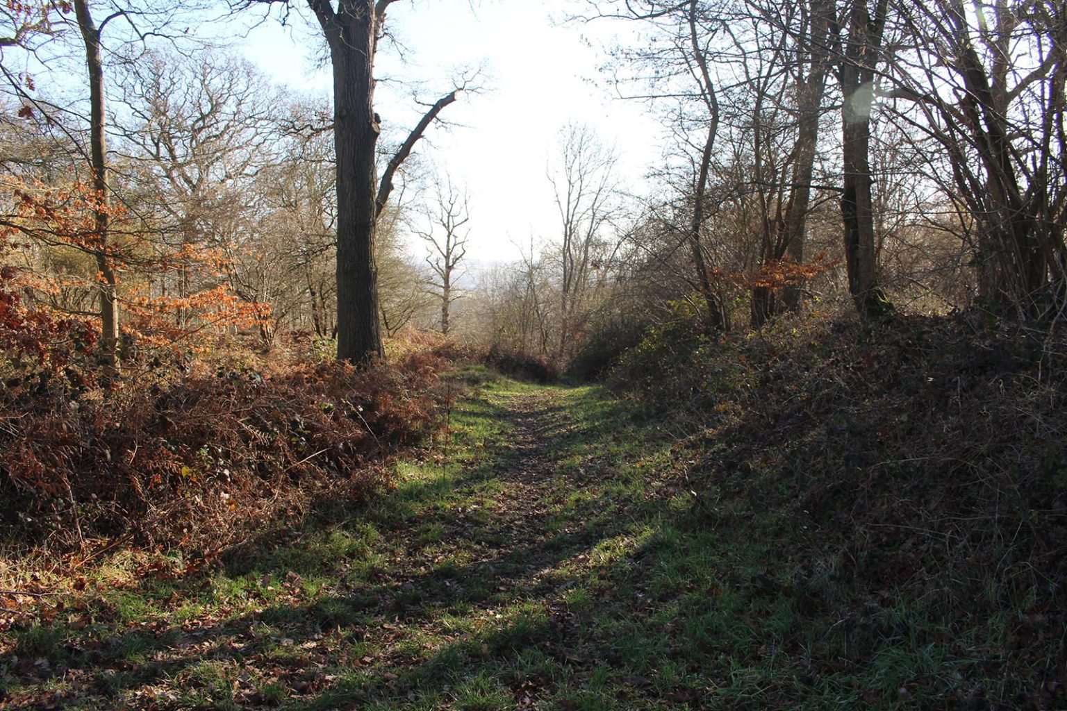 English Countryside Filming Location