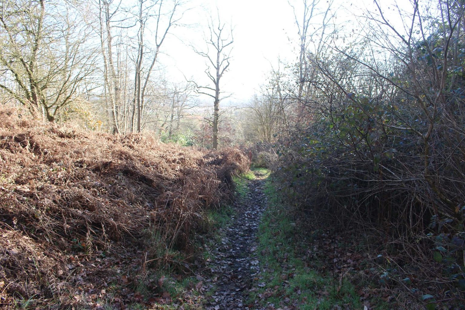 English Countryside Filming Location