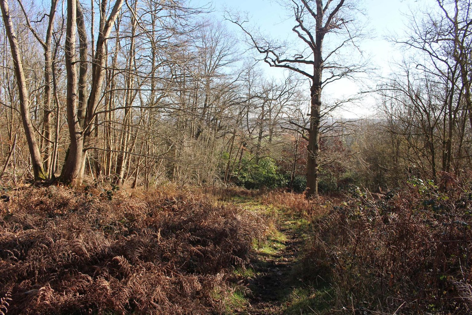 English Countryside Filming Location