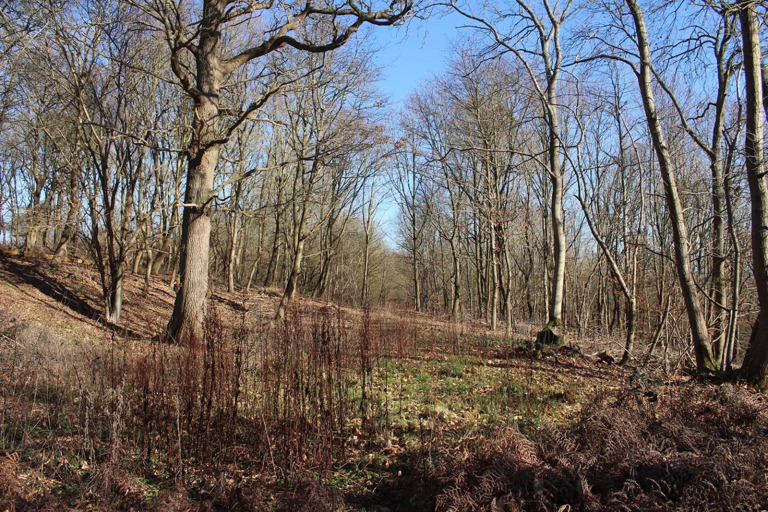 English Countryside Filming Location