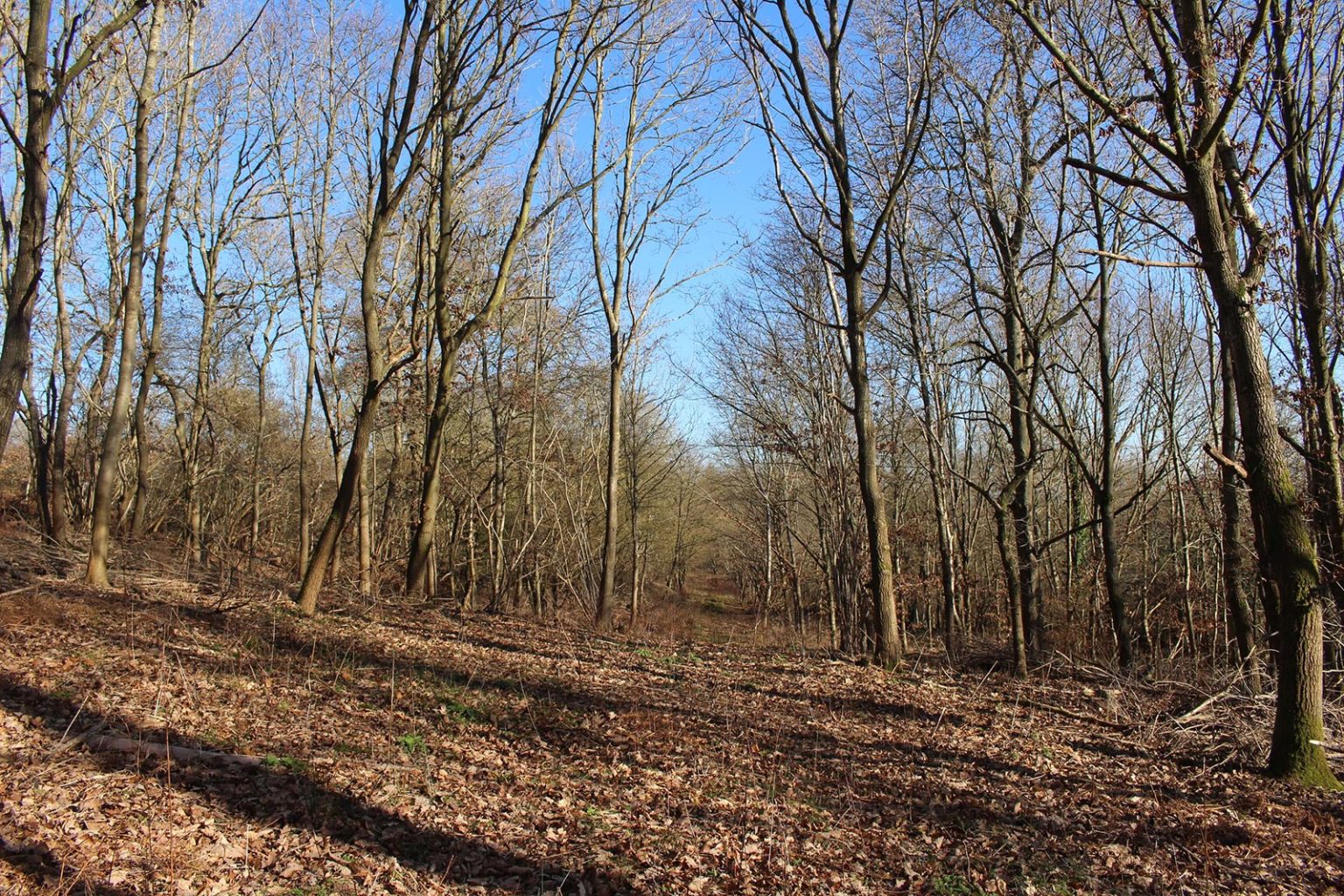 English Countryside Filming Location
