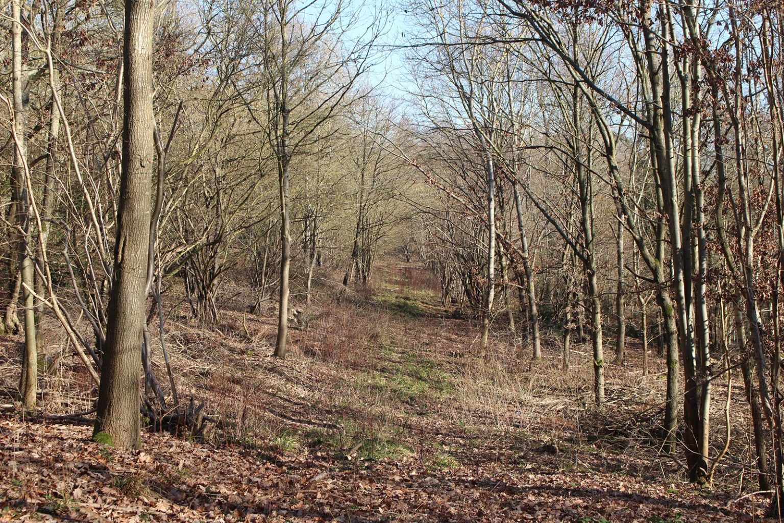 Countryside Filming Location in England