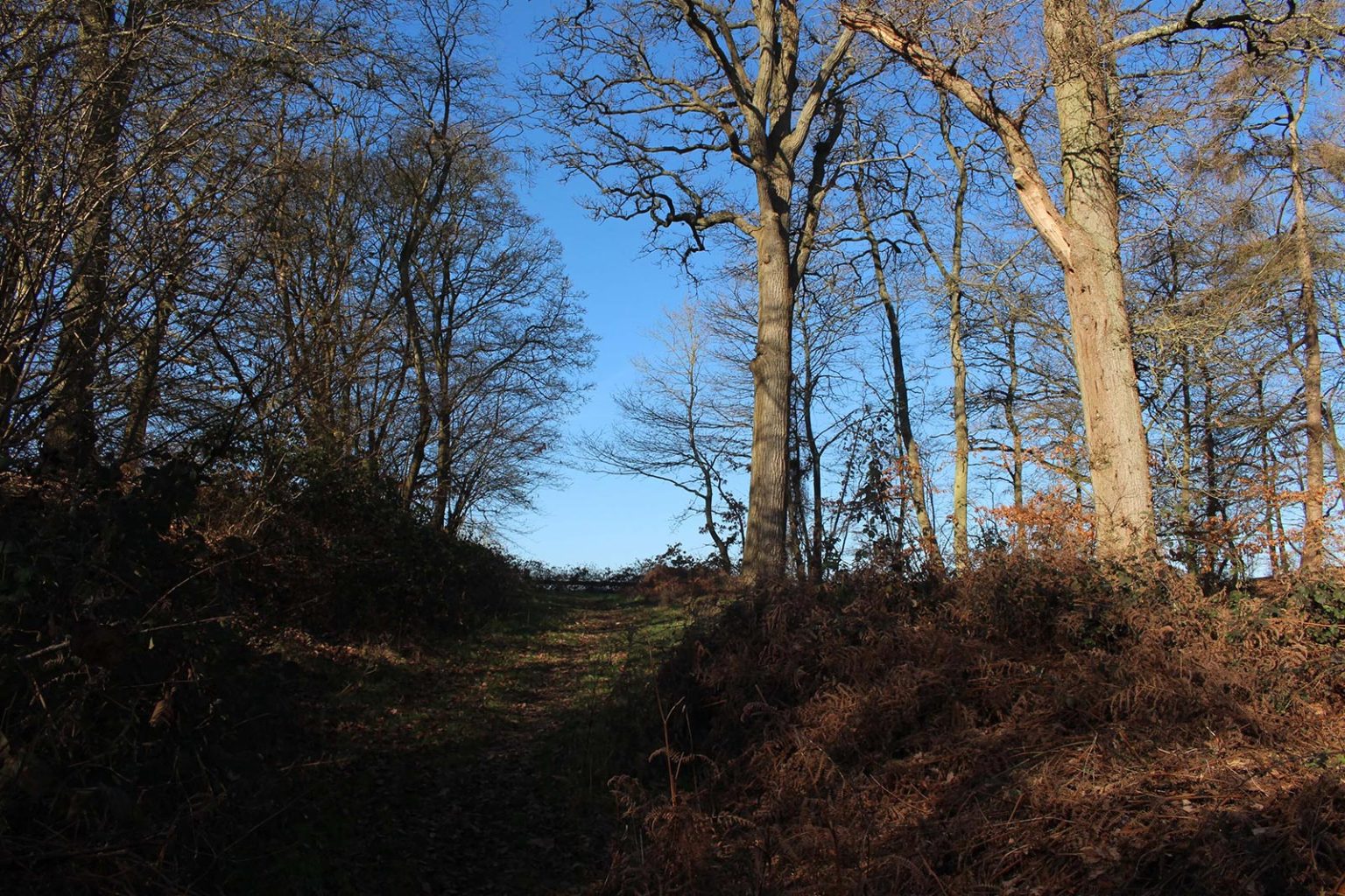 Countryside Filming Location in England