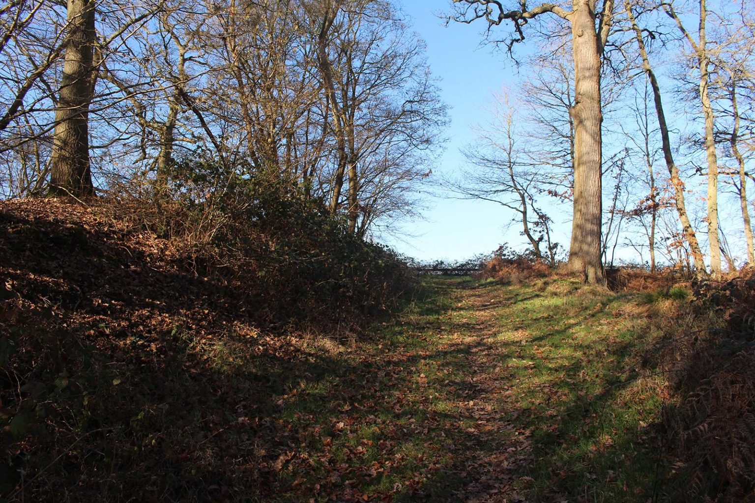 Countryside Filming Location in England