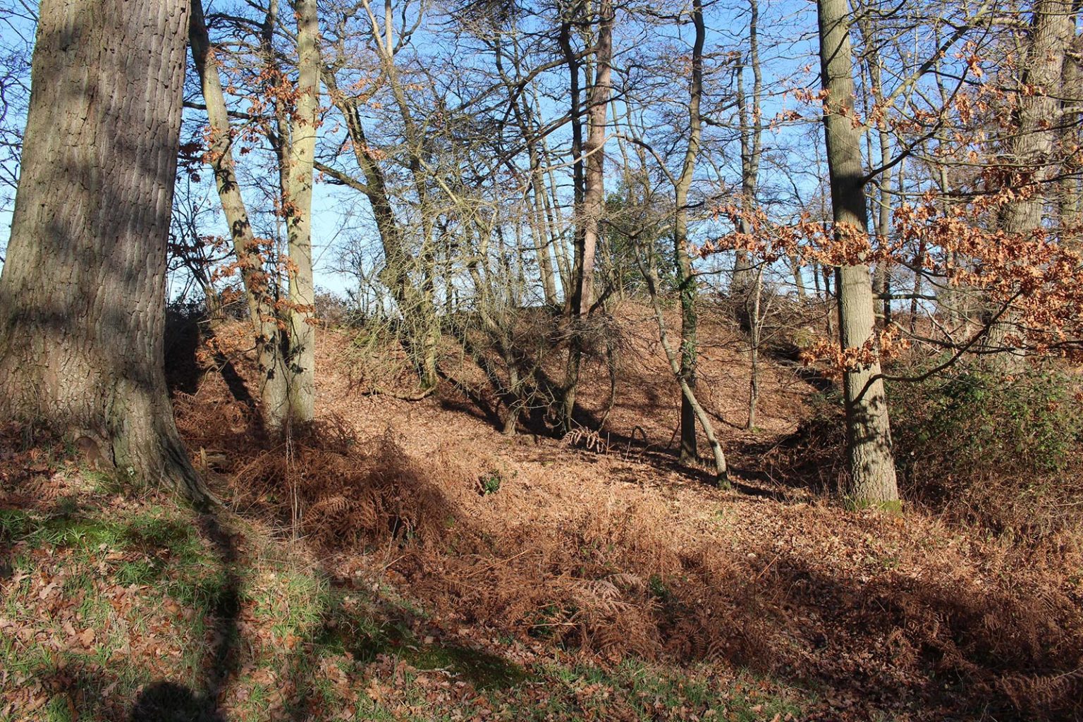 Countryside Filming Location in England