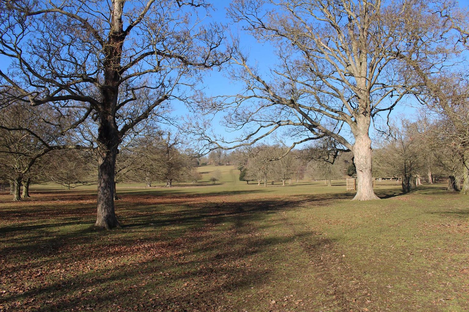 filming location in England with parkland and fields at Englefield Estate