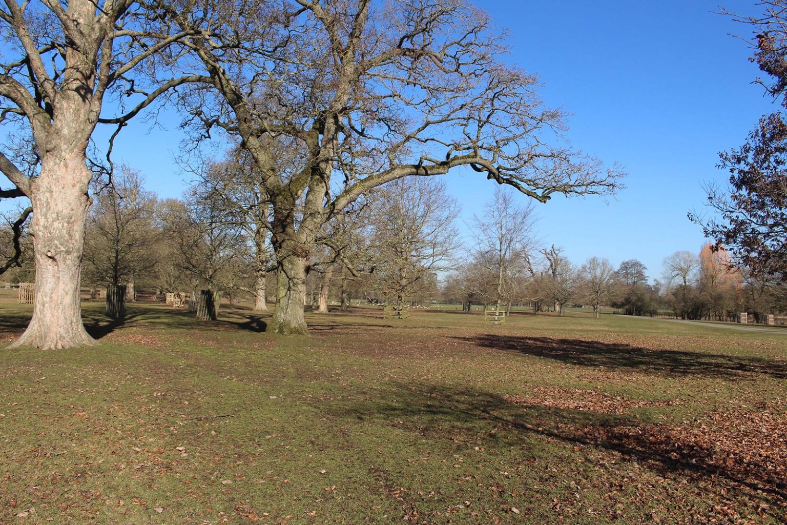 Englefield Estate filming location in England with parkland and fields