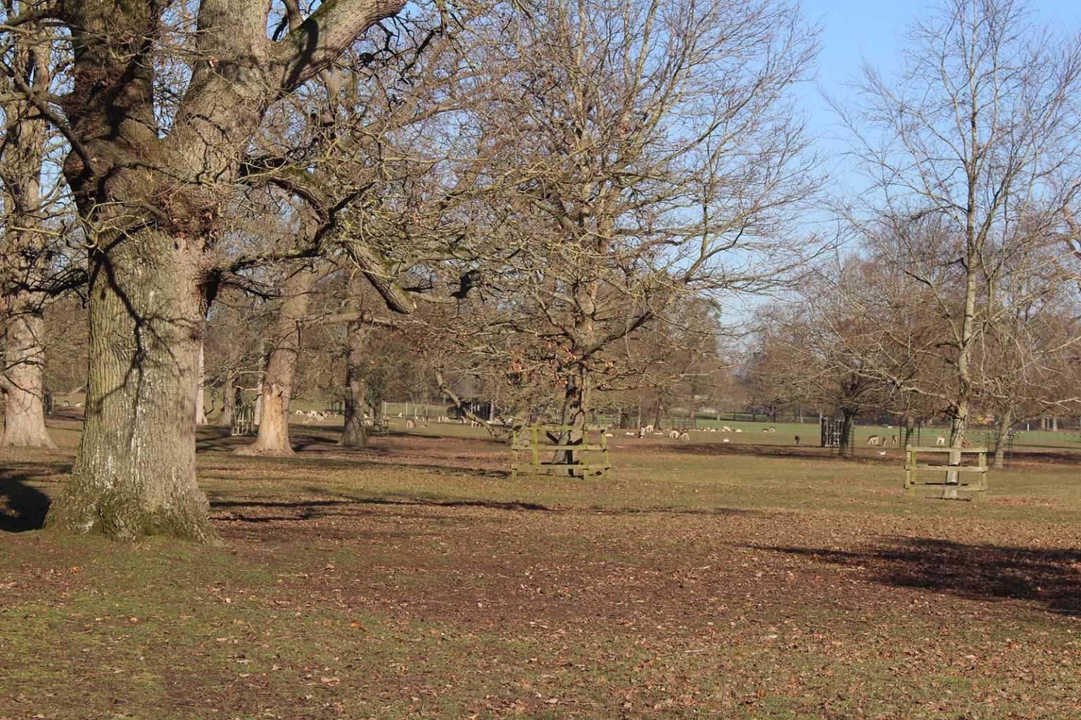 Englefield Estate filming location in England with parkland and fields