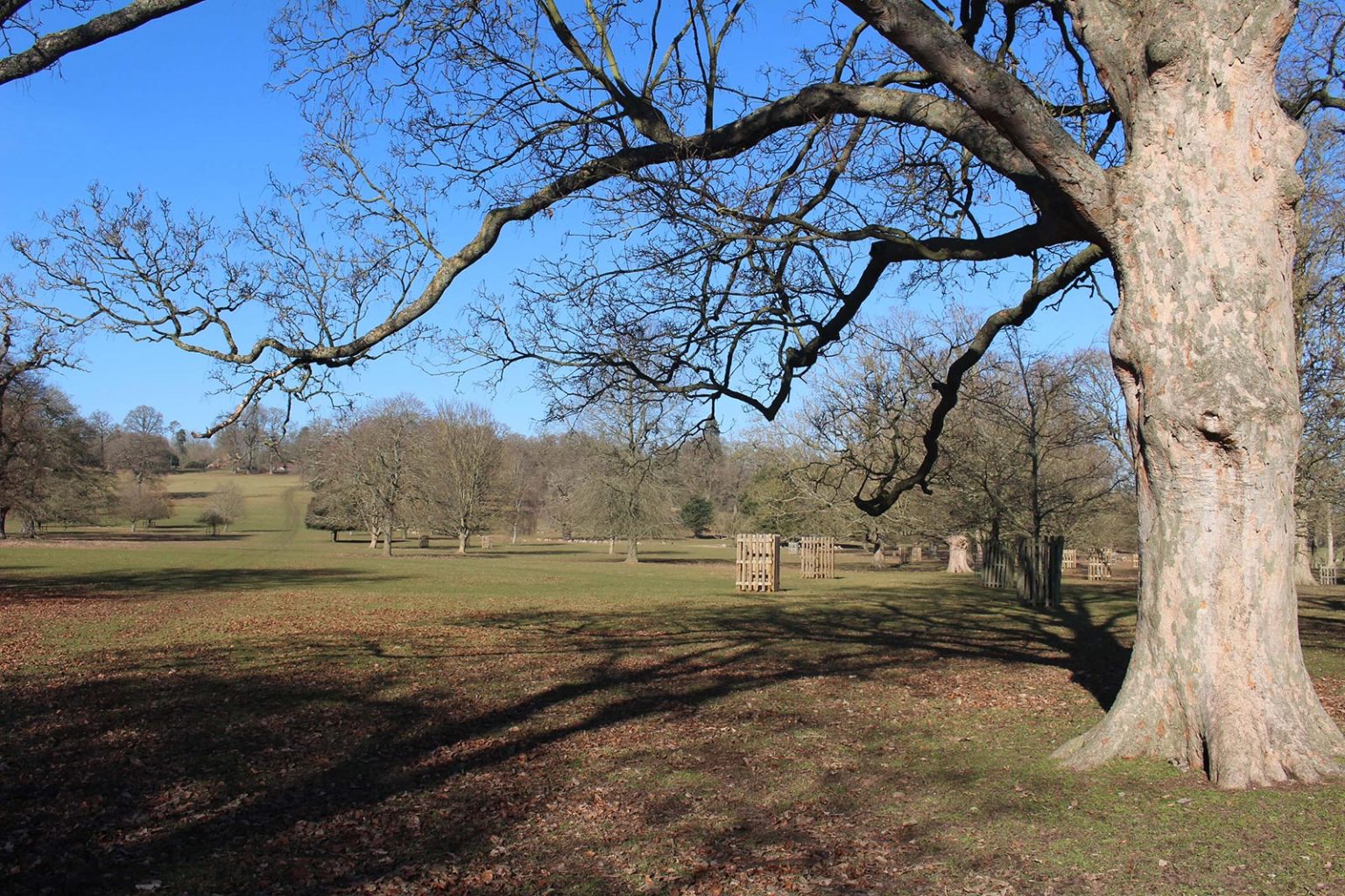 Englefield Estate filming location in England with parkland and fields