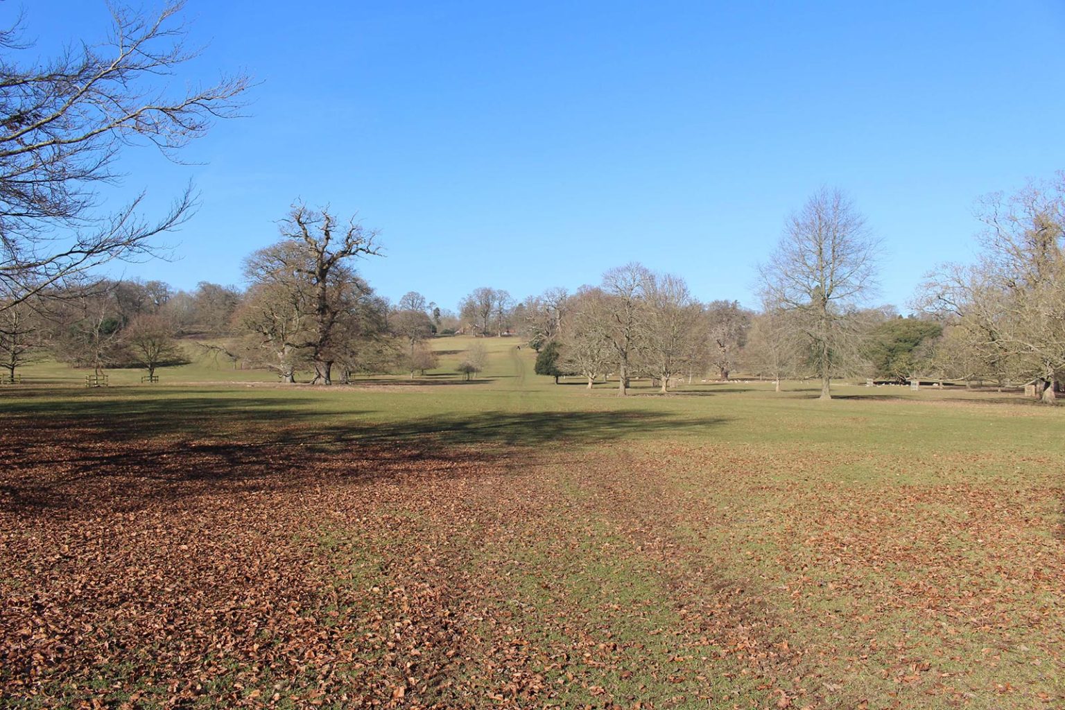 Englefield Estate filming location in England with parkland and fields