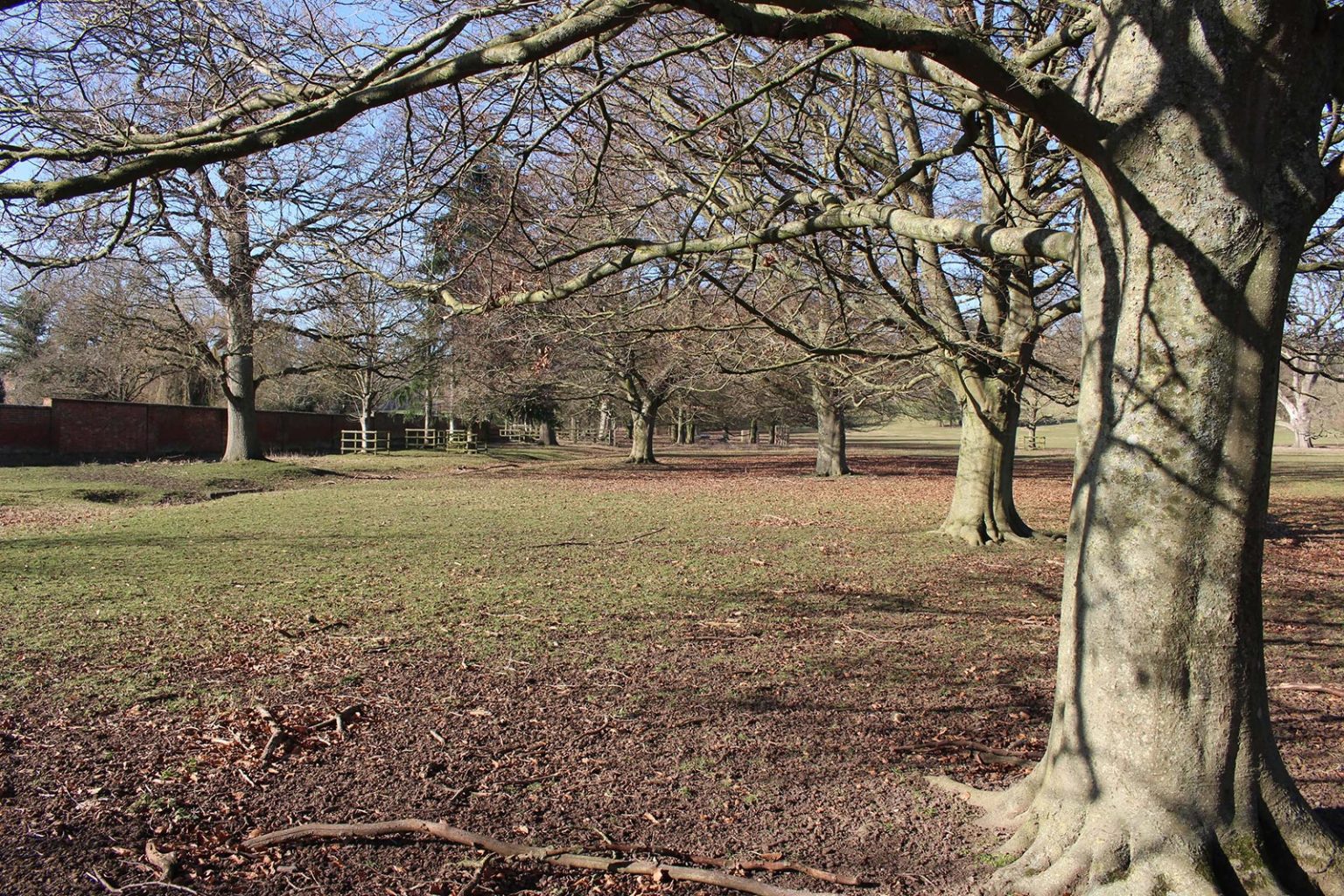 Englefield Estate parkland and fields filming location in England