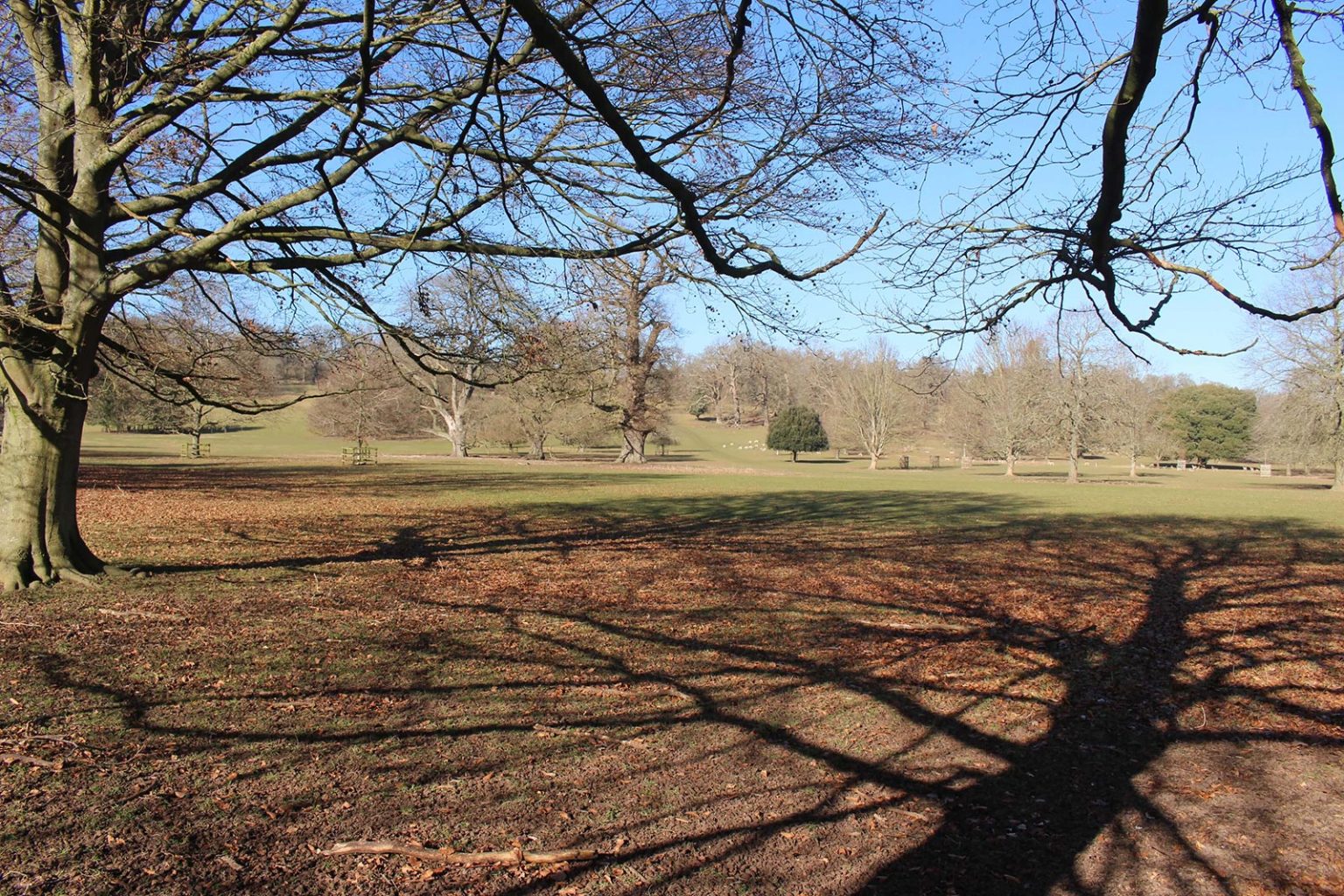 Englefield Estate parkland and fields filming location in England