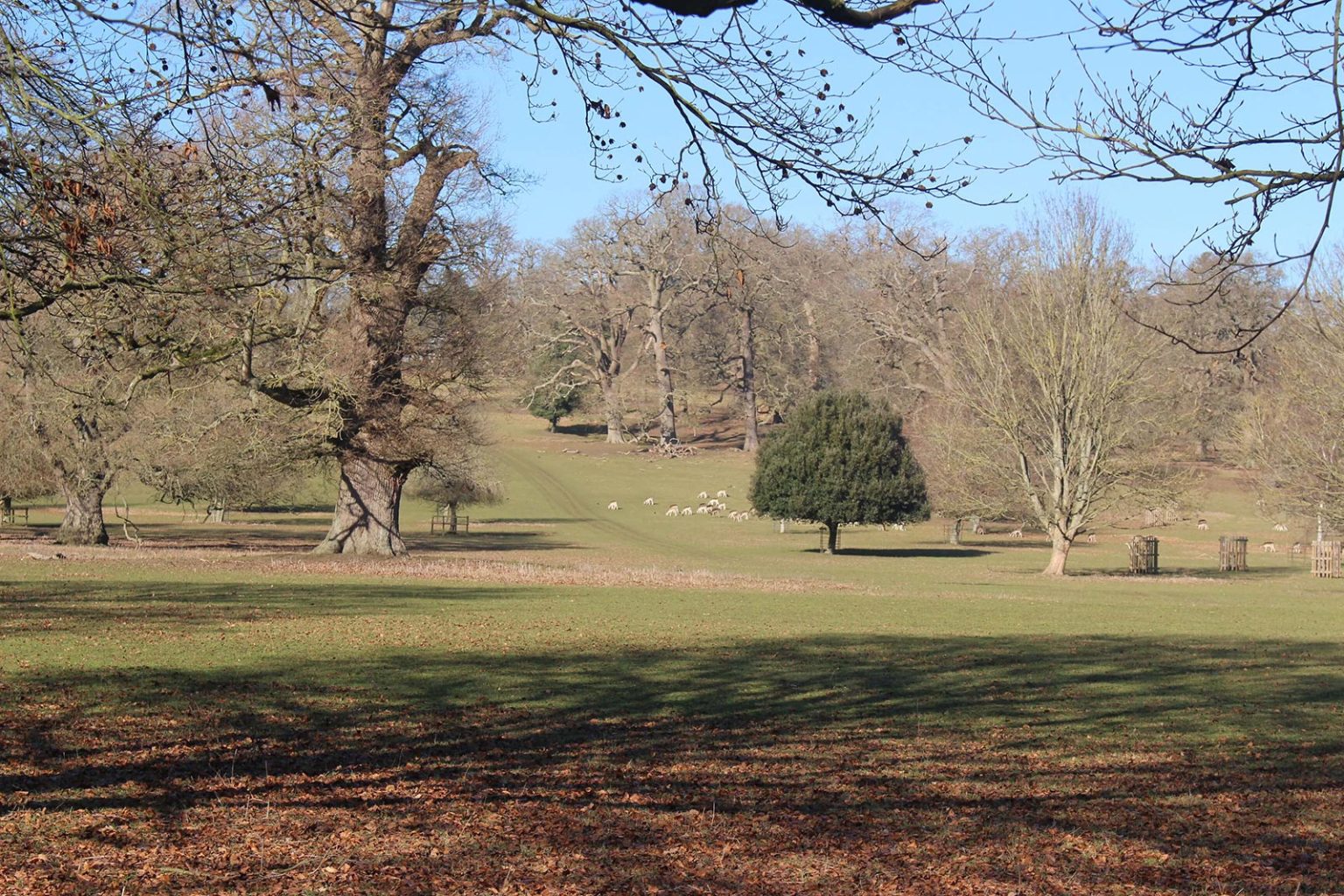 Englefield Estate parkland and fields filming location in England