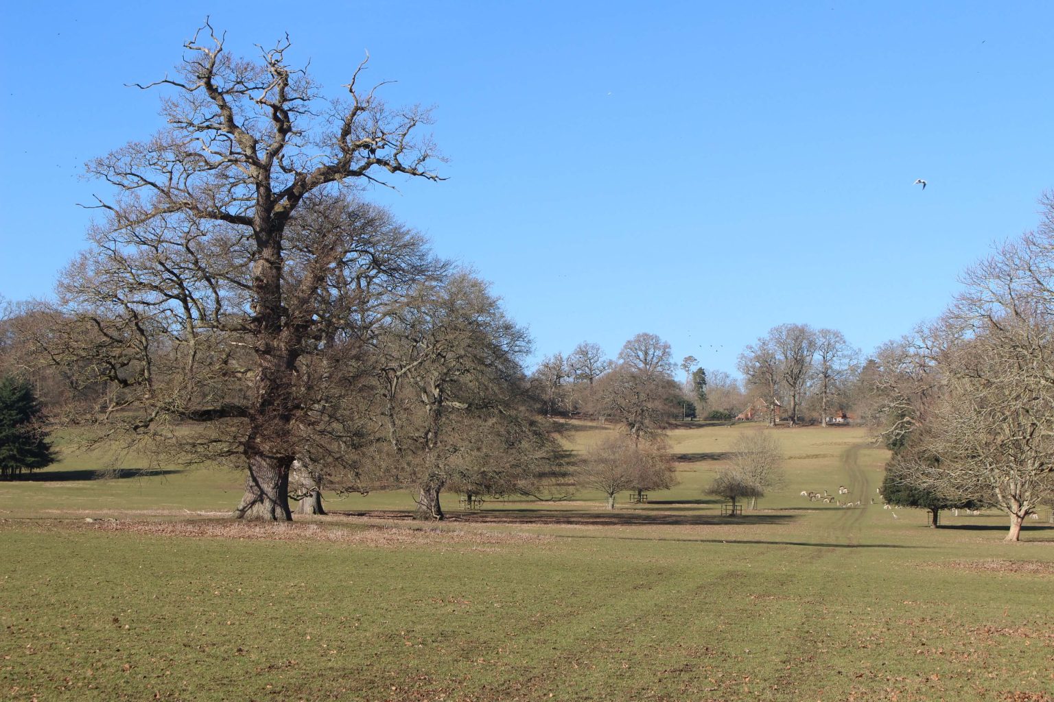 Englefield Estate parkland and fields for filming in England