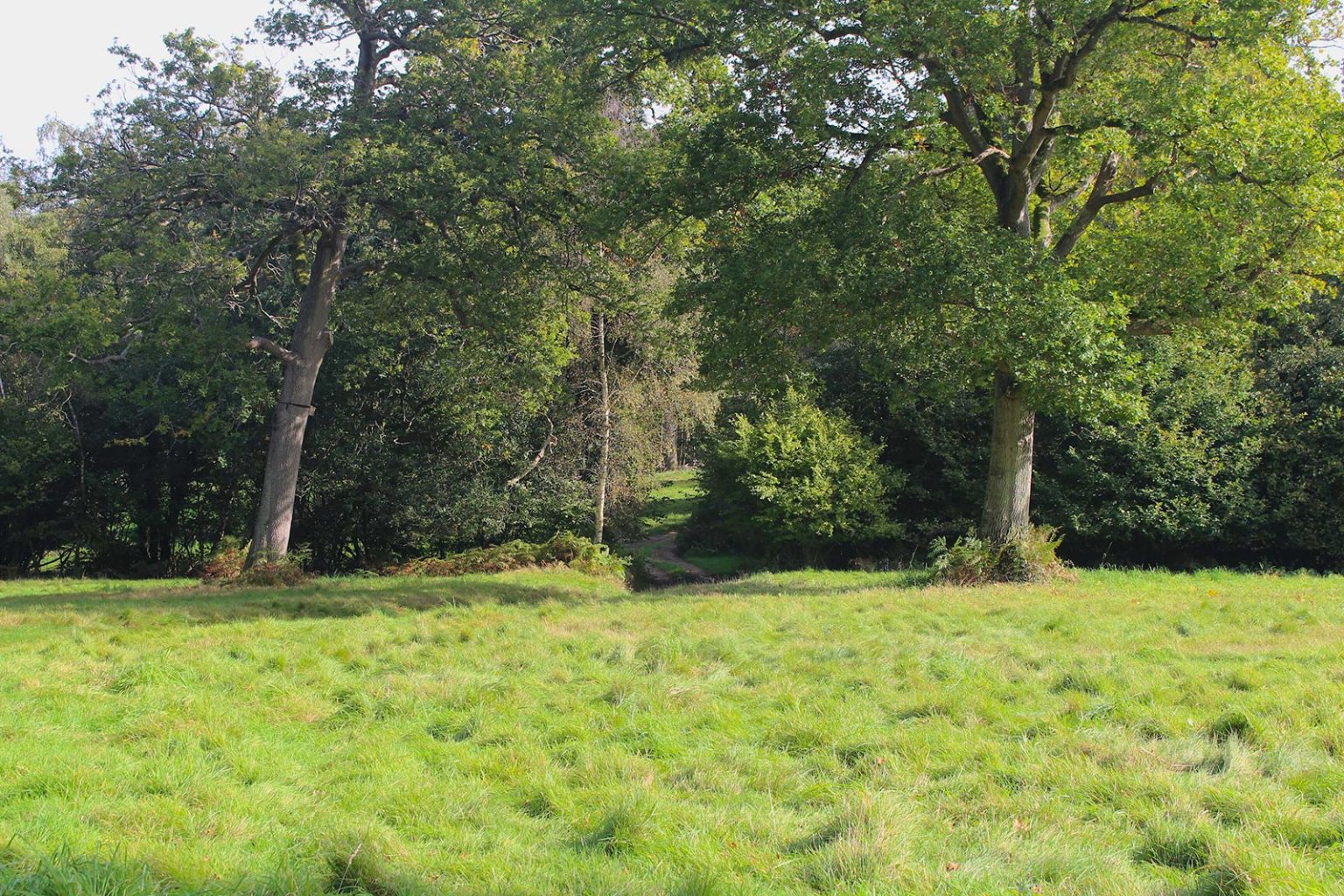 Woodlands Filming Location at Englefield Estate
