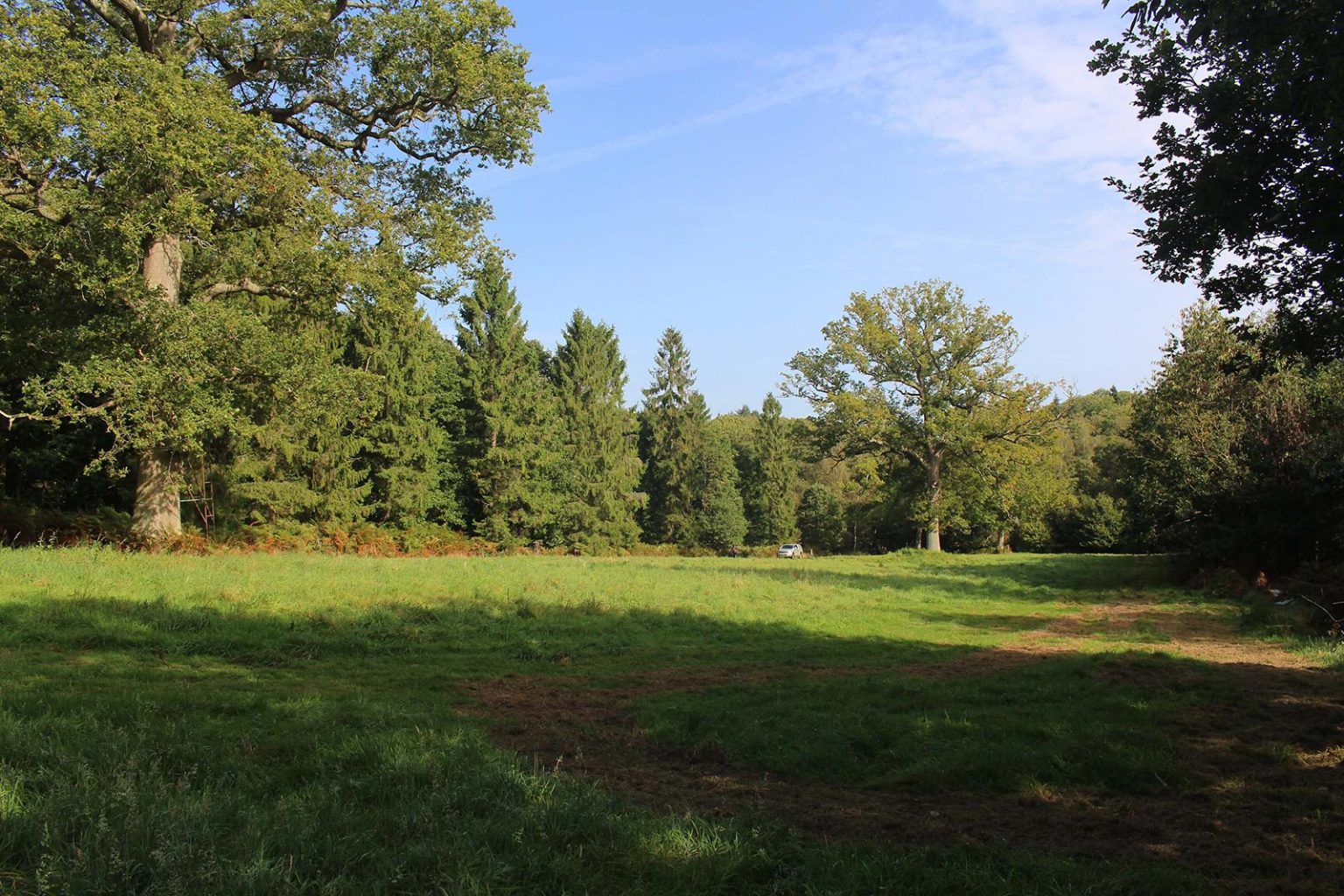 Deciduous Woodlands Filming Location at Englefield Estate