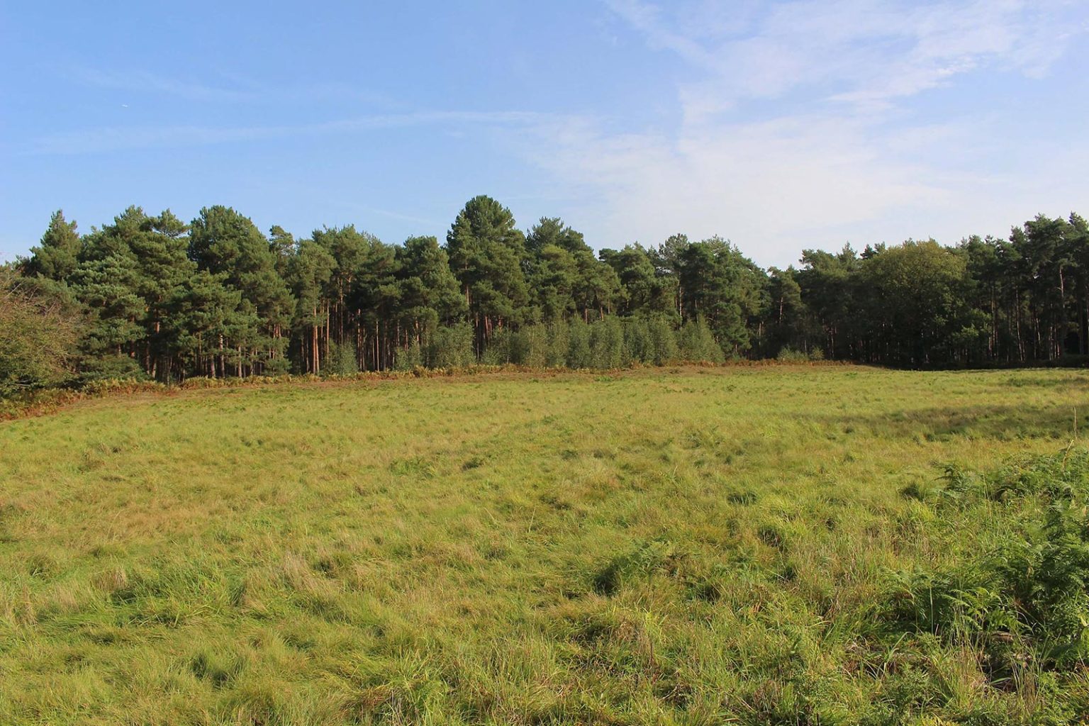 Englefield Estate parkland space for filming in England