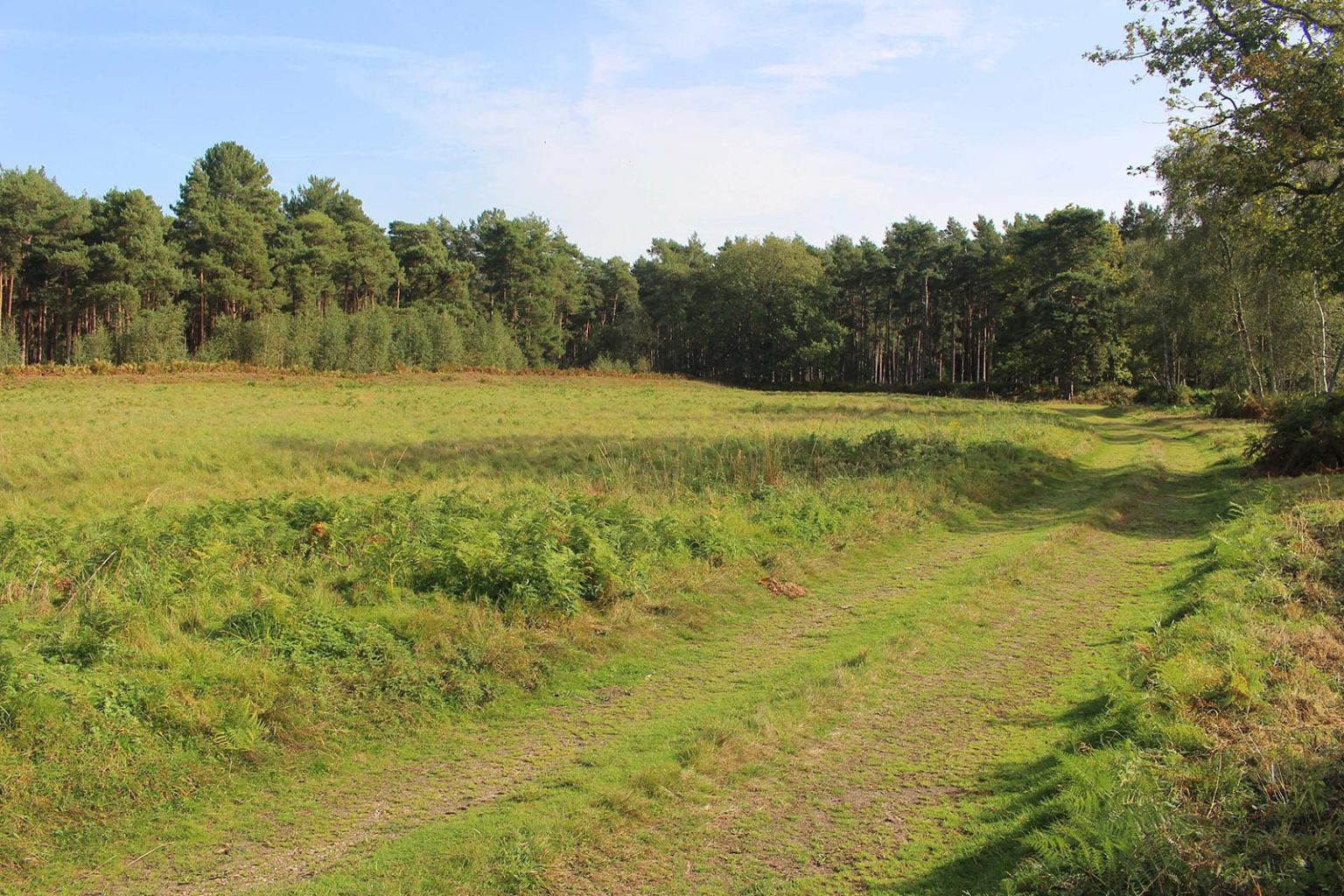 Parkland space for filming in England
