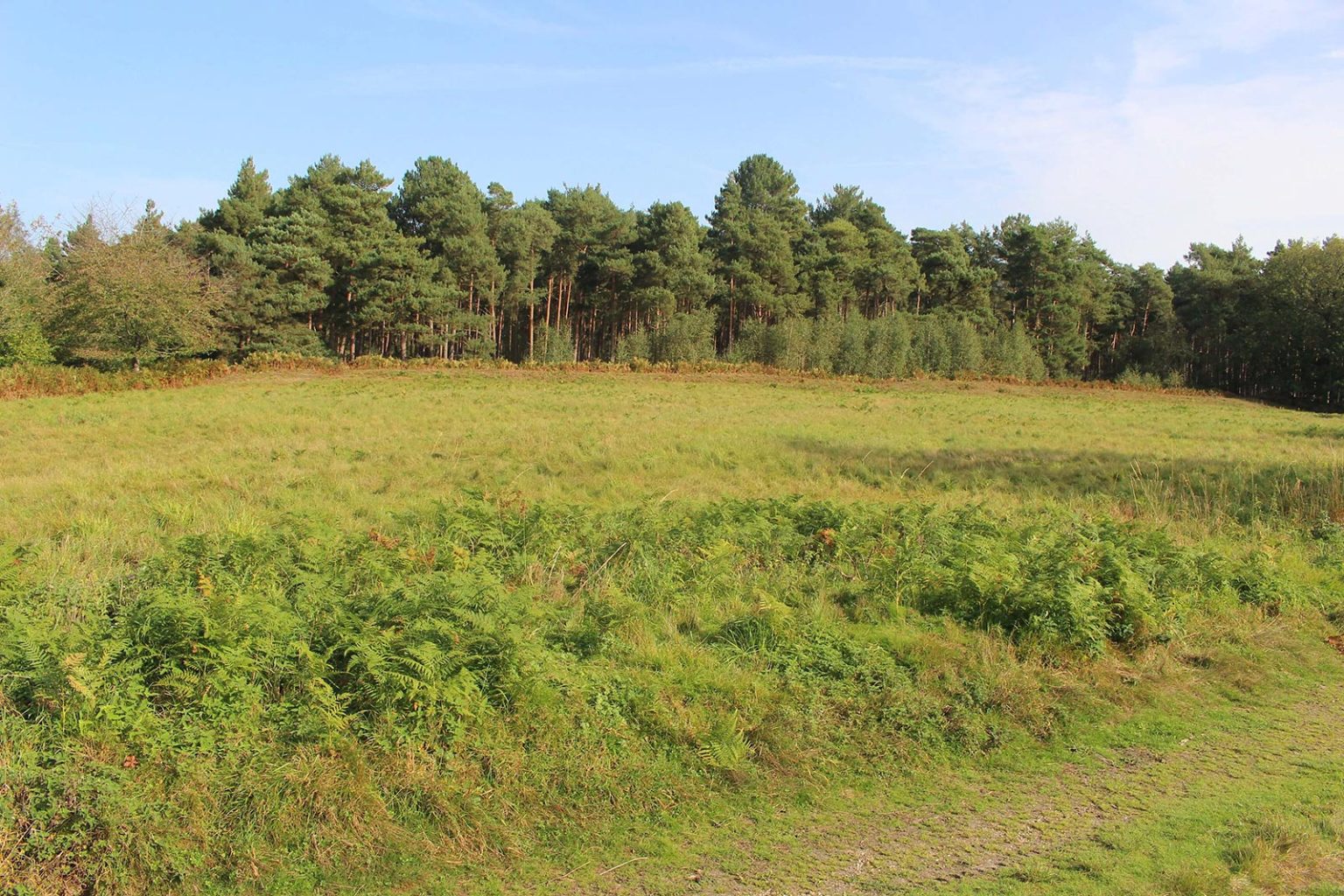 Parkland space for filming in England