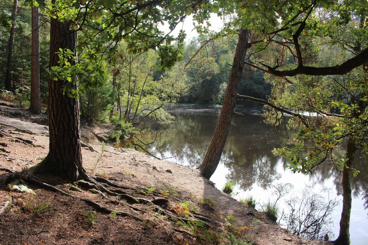 Englefield Estate country lake Filming Location