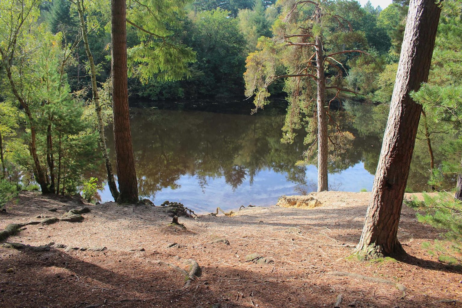 Woodland Lake Filming Location in England