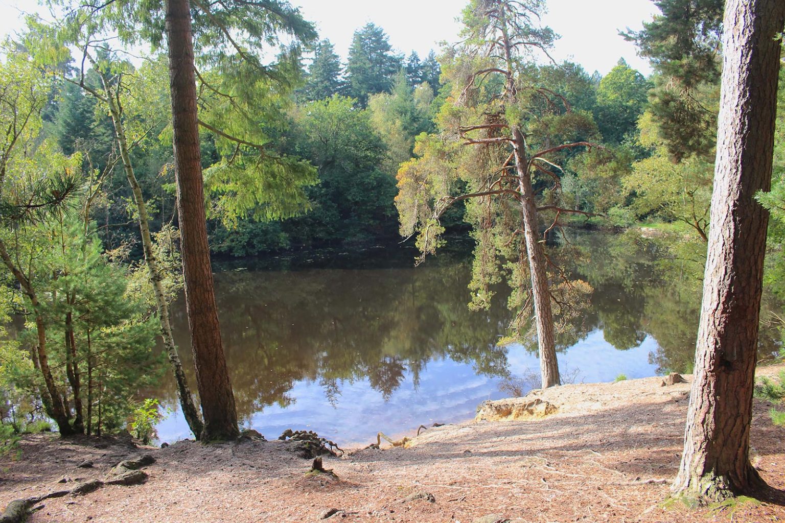 Woodland Lake Filming Location in England