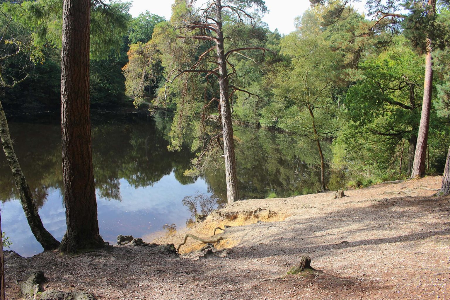 Woodland Lake Filming Location in England