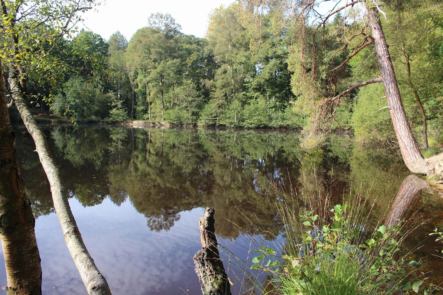 Woodland Lake Filming Location in England