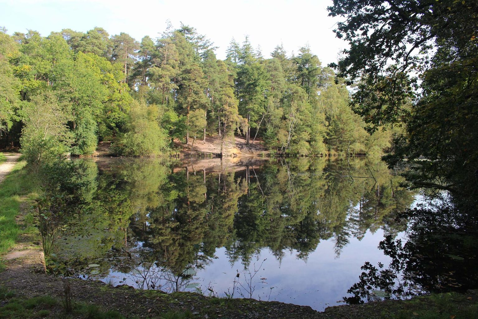Woodland Lake Filming Location in England