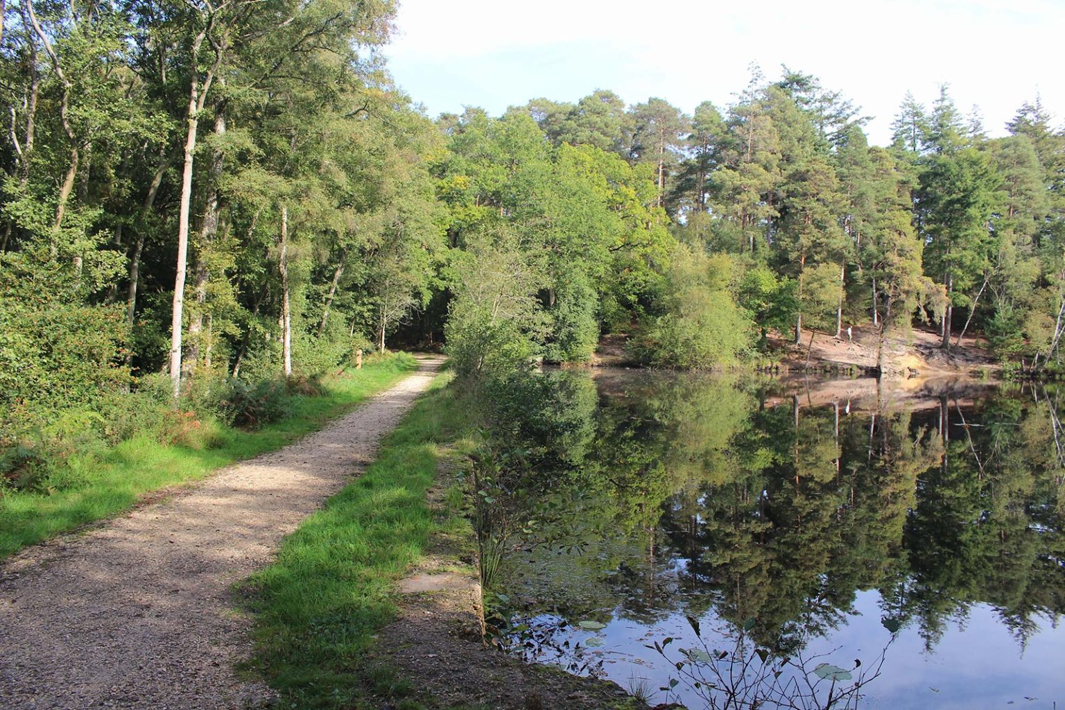 Woodland Lake Filming Location in England