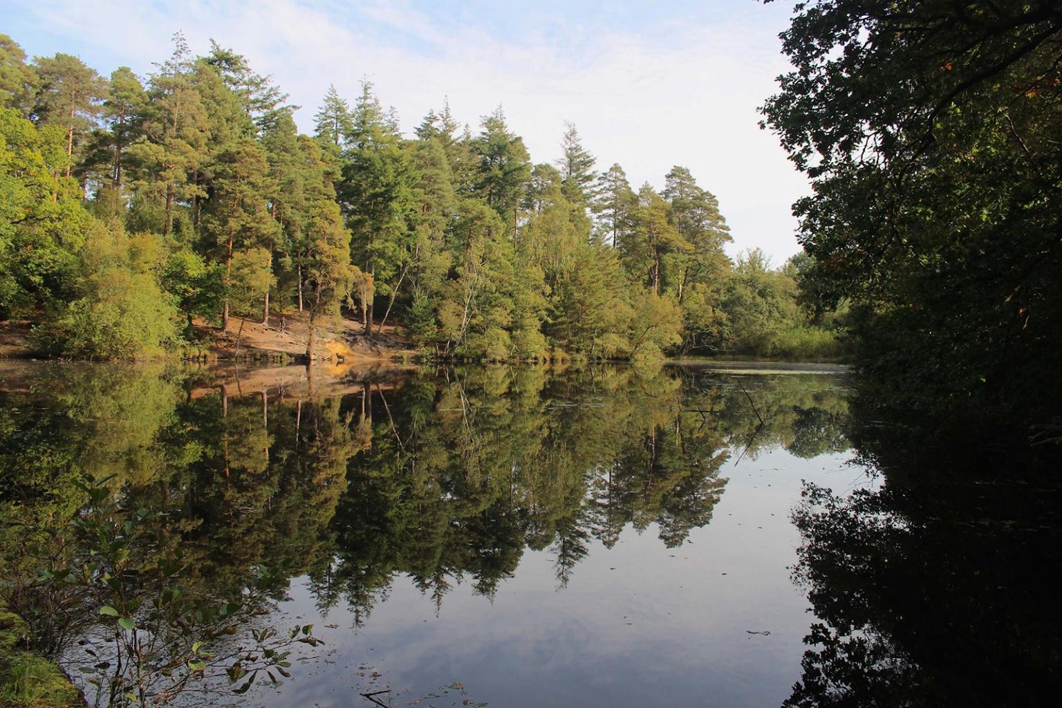 Lake in Woods Filming Location in England