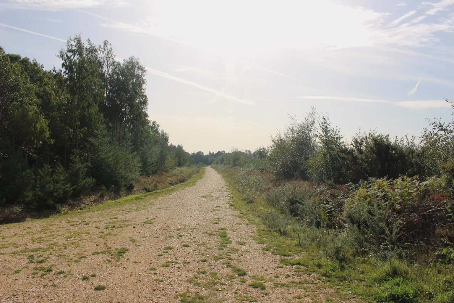 Country Tracks Filming Location in England
