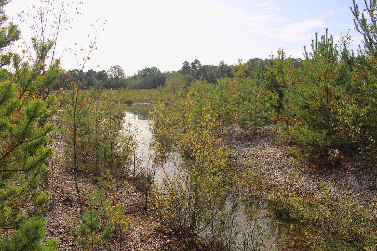 Englefield Estate Marshland Lake Filming Location