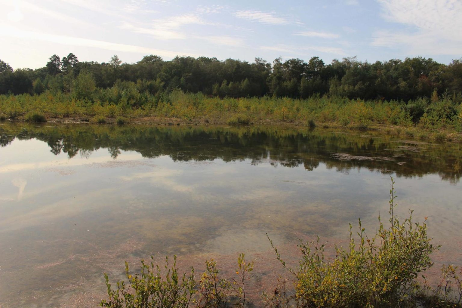 Englefield Estate Marshland Lake Filming Location