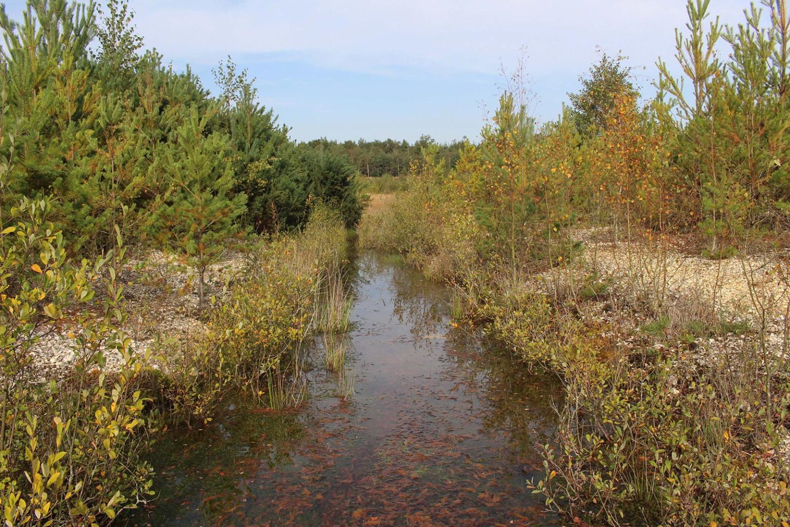 Englefield Estate Marshland Stream Filming Location