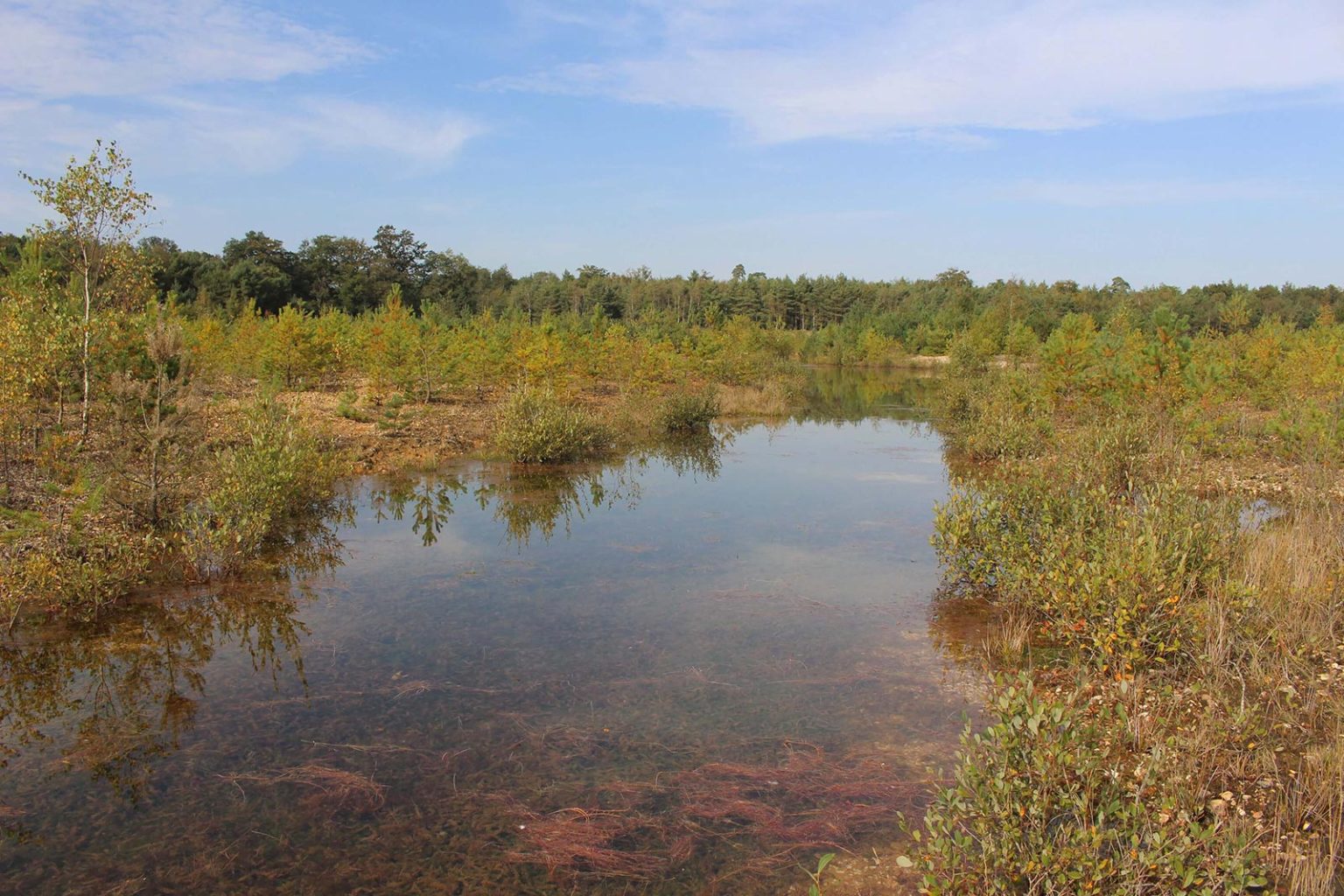 Marshland in England for Filming Location