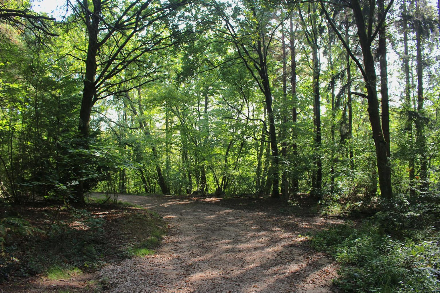 Country Lane by Lake Filming Location in England