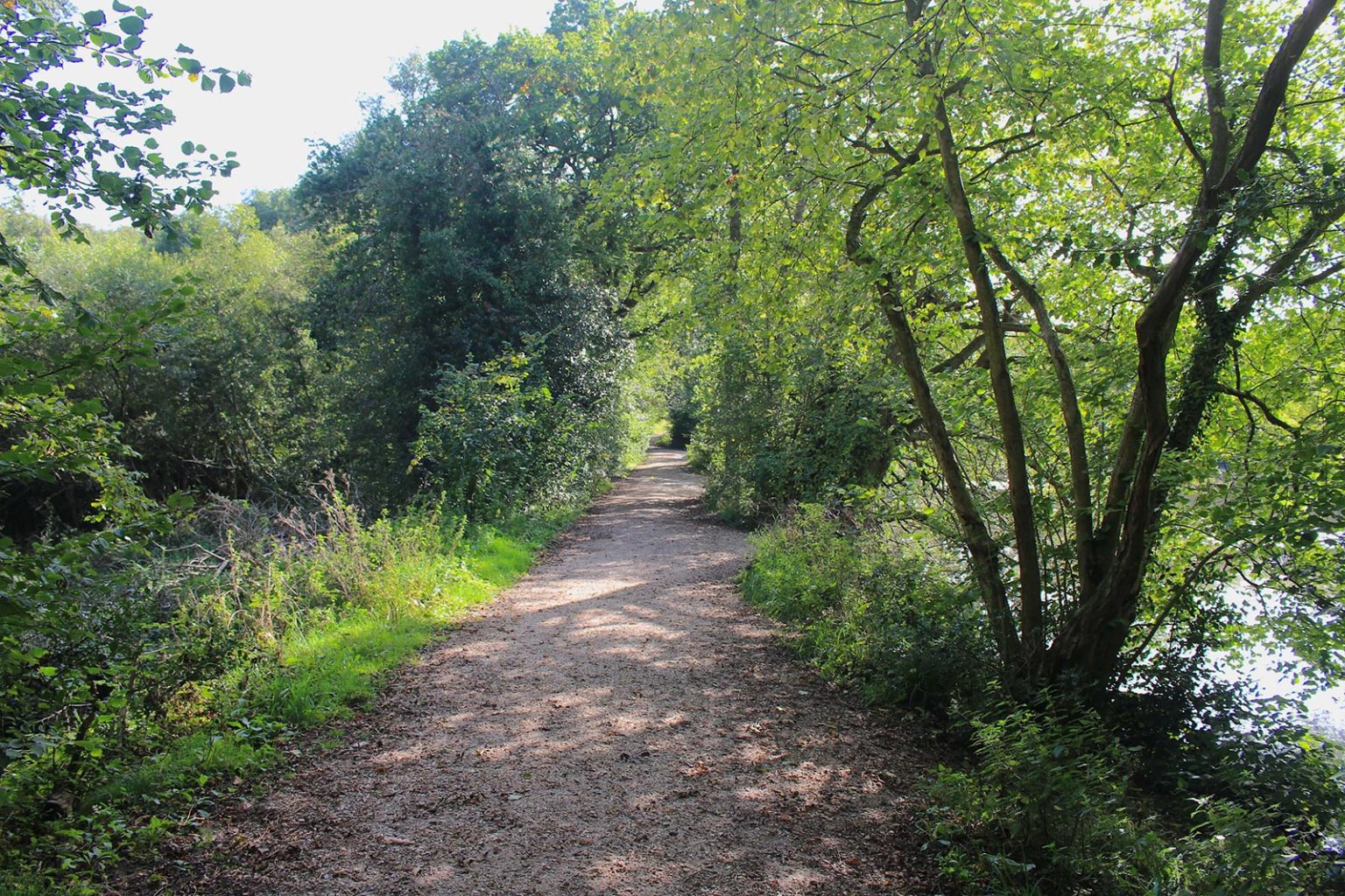Country Lane by Lake Filming Location in England