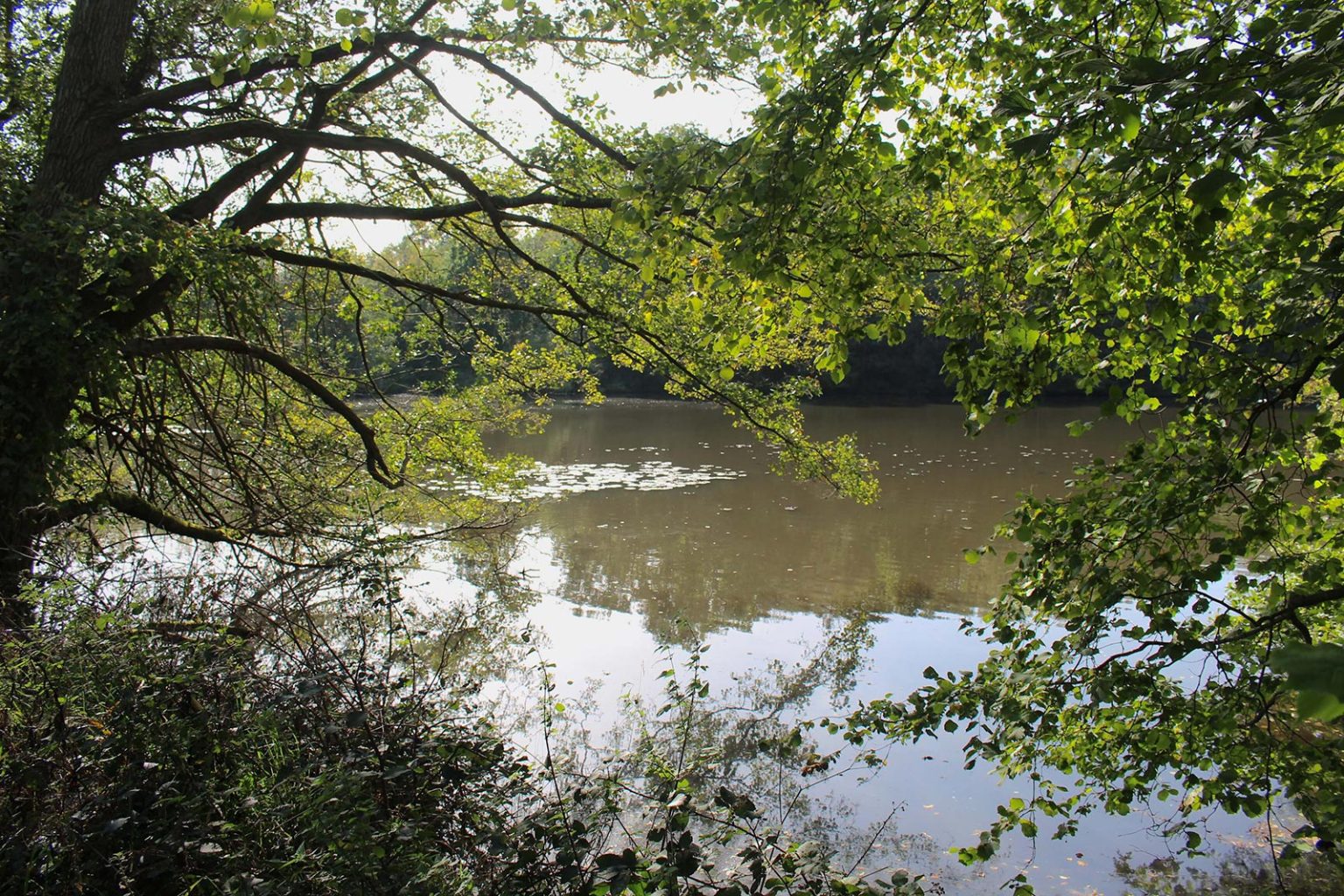 Country Lake Filming Location in England