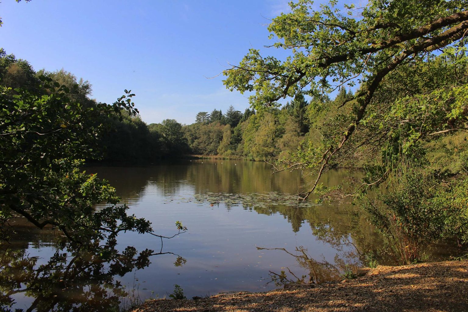 Englefield Estate Country Lake Filming Location