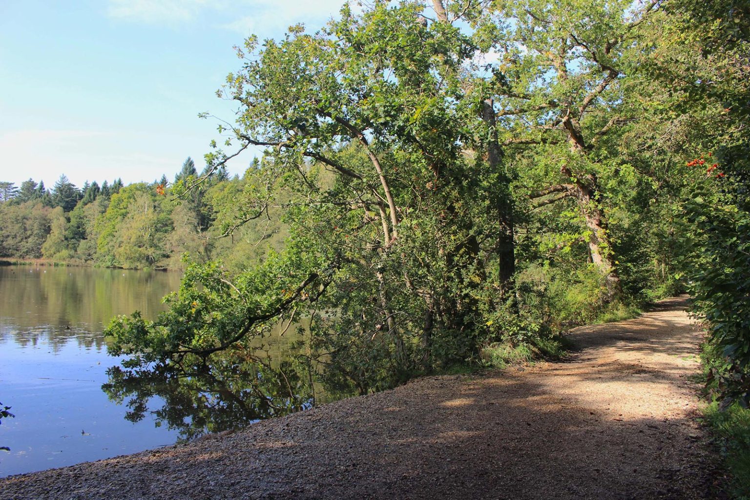 Country Lake Filming Location in England