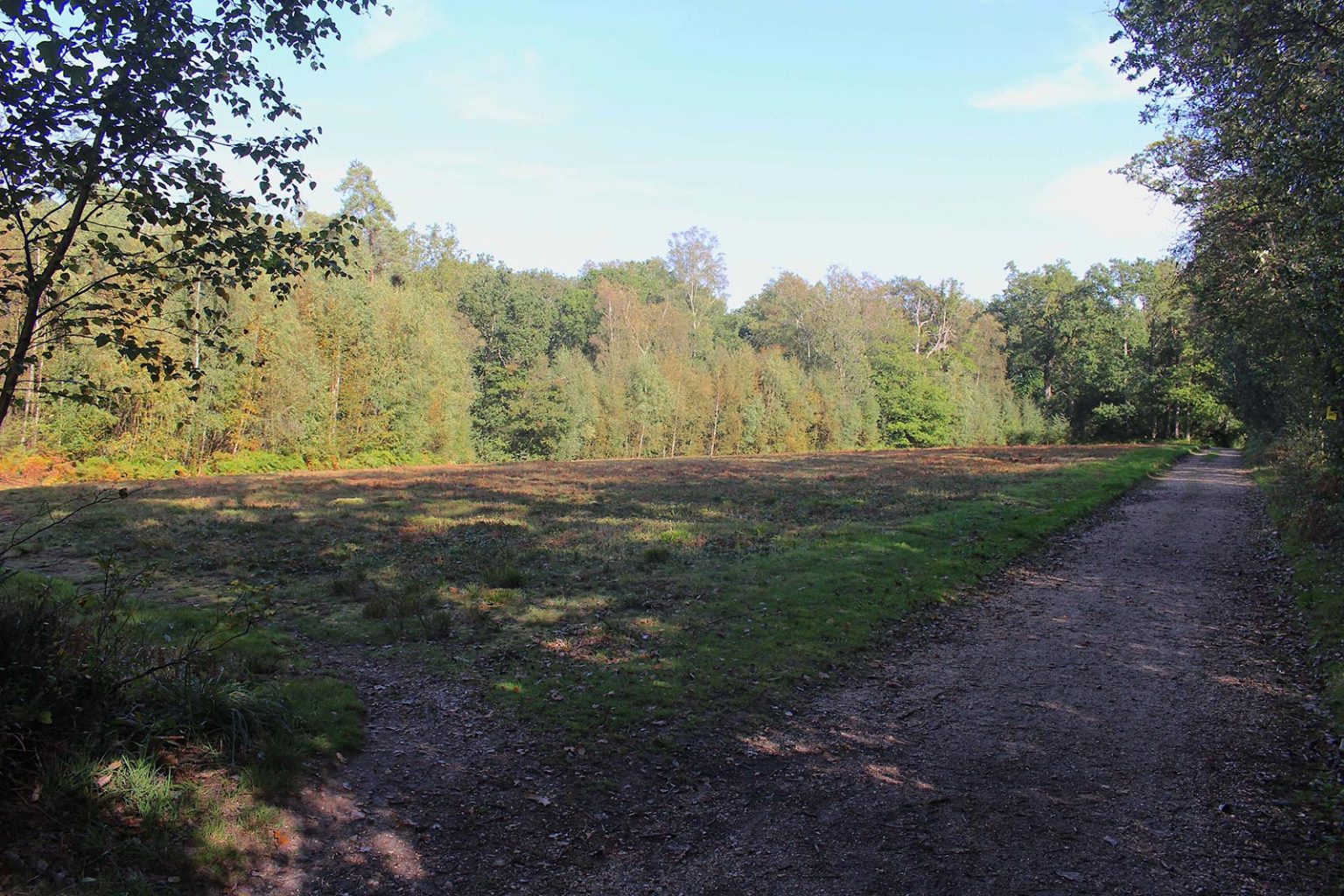 Parkland space for movies and tv in England